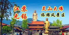 免费搞屄网站江苏无锡灵山大佛旅游风景区