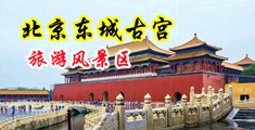 大吊好大白中国北京-东城古宫旅游风景区
